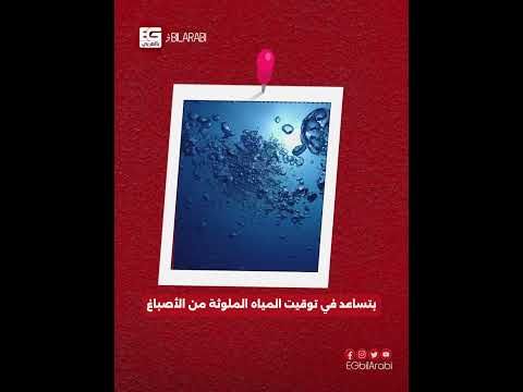 ترفيه: الدكتور هاني ناصر عبد الحميد
